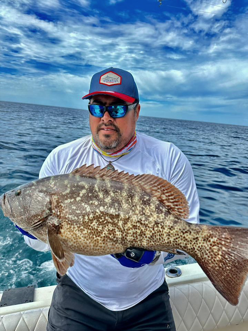 Using downriggers and transducers to catch groupers and snappers in Cabo San Lucas 14 groupers and snappers in Cabo San Lucas