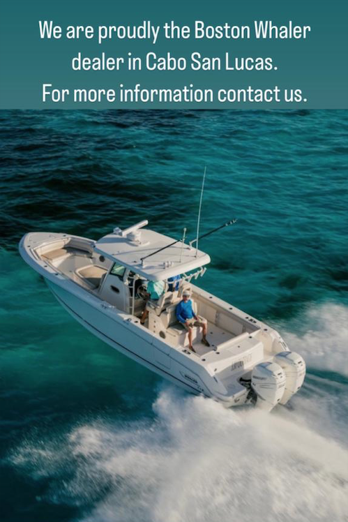 boston whaler broker in Cabo San Lucas boston whaler broker in Cabo San Lucas