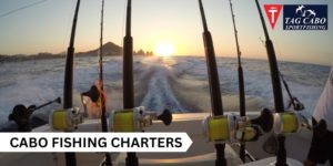 Book a Cabo Fishing Charters for a Romantic Valentine’s Day with Your Partner 4 Book A Cabo Fishing Charters For A Romantic Valentine’s Day With Your Partner