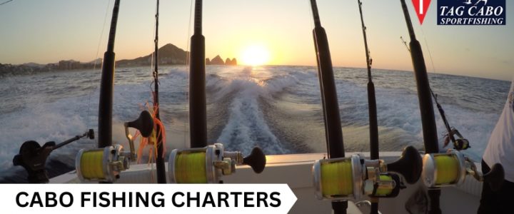 Book a Cabo Fishing Charters for a Romantic Valentine’s Day with Your Partner Book a Cabo Fishing Charters for a Romantic Valentine’s Day with Your Partner