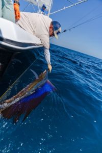 Fishing in Quepos Costarica Fishing in Quepos Costarica