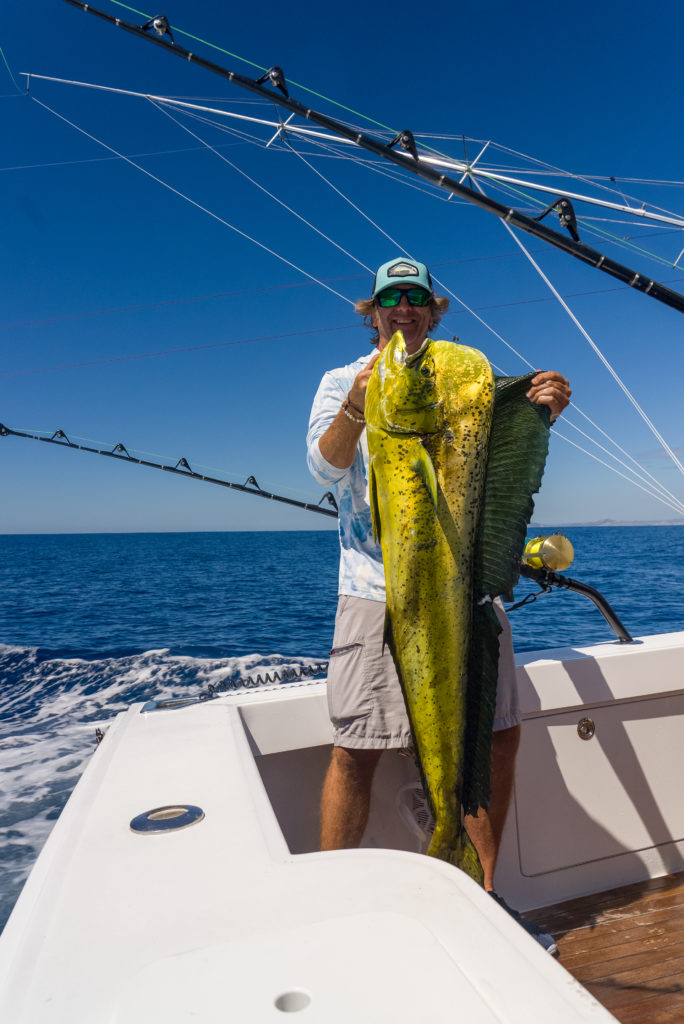 Embracing the Summer Fishing Season in Cabo San Lucas, June and July Highlights Embracing the Summer Fishing Season in Cabo San Lucas, June and July Highlights