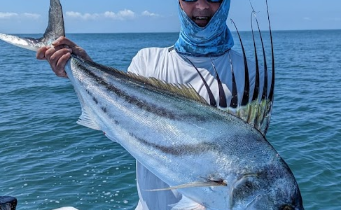 Offshore vs. Inshore Fishing in Cabo San Lucas: Which is Right for You? Offshore vs. Inshore Fishing in Cabo San Lucas: Which is Right for You?