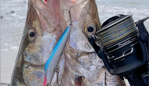 An Introduction To The Spinning Lures An Introduction To The Spinning Lures