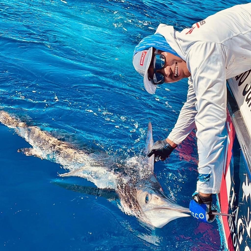Master the Art of Striped Marlin Fishing: Lures, Teasers, and Dead Bait Techniques Master the Art of Striped Marlin Fishing: Lures, Teasers, and Dead Bait Techniques