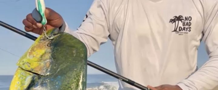 Using SatFish and Windy apps, For Surf Fishing In Cabo San Lucas Using SatFish and Windy apps, For Surf Fishing In Cabo San Lucas