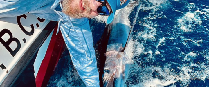 Ultimate Guide to the Best Fishing Seasons in Cabo San Lucas Ultimate Guide to the Best Fishing Seasons in Cabo San Lucas