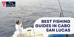 Cabo San Lucas Fishing For Couples: A Romantic Getaway For Anglers 1 Cabo San Lucas Fishing For Couples: A Romantic Getaway For Anglers
