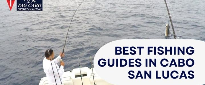 Cabo San Lucas Fishing For Couples: A Romantic Getaway For Anglers Cabo San Lucas Fishing For Couples: A Romantic Getaway For Anglers
