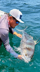 Exploring the Different Types of Sports Fishing in Cabo San Lucas Exploring the Different Types of Sports Fishing in Cabo San Lucas