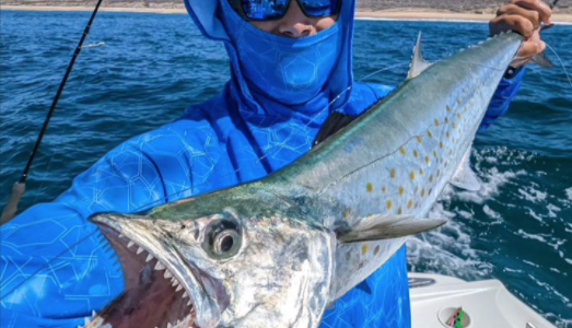 Inshore Fishing in Cabo San Lucas Inshore Fishing in Cabo San Lucas