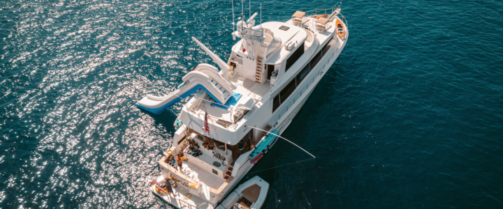The Unforgettable Overnight Fishing Adventure in Cabo San Lucas The Unforgettable Overnight Fishing Adventure in Cabo San Lucas