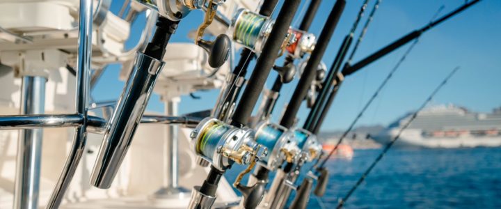 The Ultimate Guide to Saltwater Fishing The Ultimate Guide to Saltwater Fishing