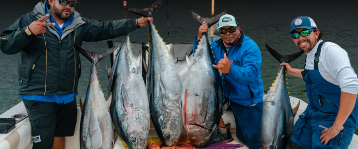 Here Are The Best Fishing Spots In La Baja Here Are The Best Fishing Spots In La Baja