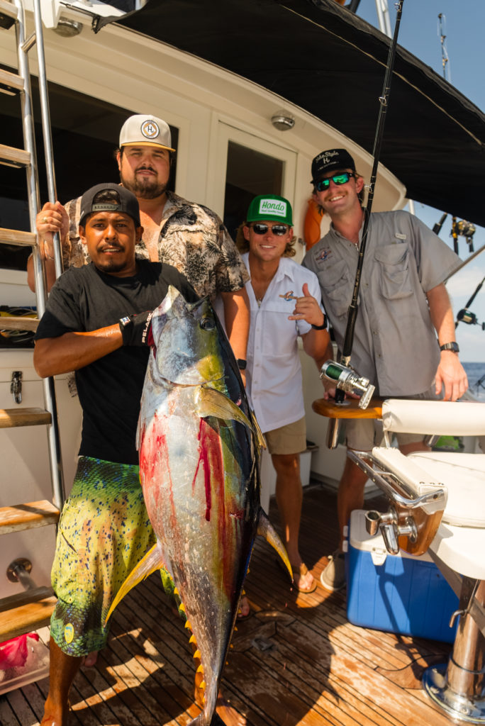 Yellowfin tunas in Cabo San Lucas Yellowfin tunas in Cabo San Lucas