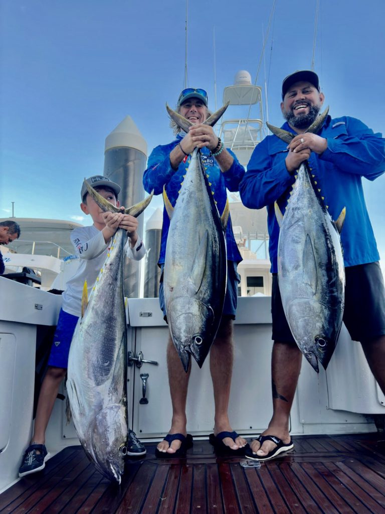 Yellowfin tunas in Cabo San Lucas Yellowfin tunas in Cabo San Lucas