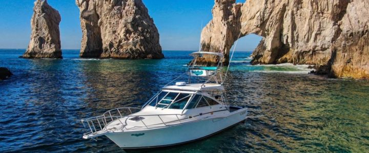 Best Time to Go Fishing in Cabo San Lucas Best Time to Go Fishing in Cabo San Lucas