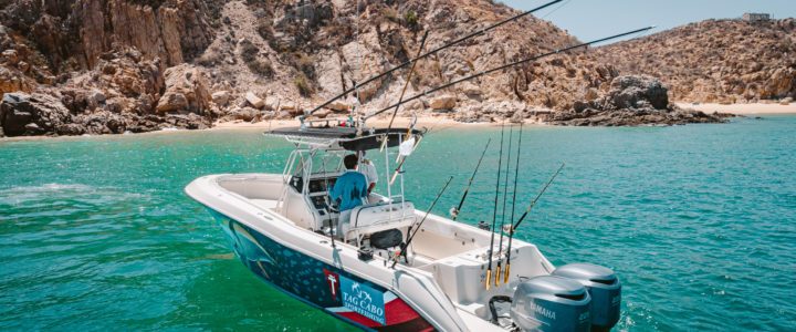 Fishing on a Center Console in Cabo San Lucas Fishing on a Center Console in Cabo San Lucas