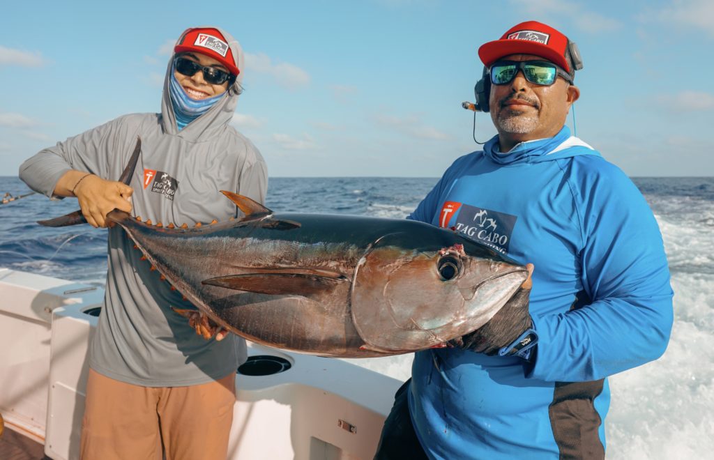 Yellowfin Tuna in Cabo Yellowfin Tuna in Cabo