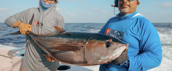 Fishing in Cabo? Everything You Should Know Fishing in Cabo? Everything You Should Know