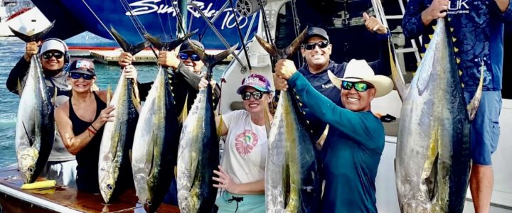 The Ultimate Guide to Deep-Sea and Offshore Fishing in Cabo San Lucas The Ultimate Guide to Deep-Sea and Offshore Fishing in Cabo San Lucas