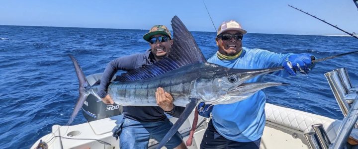 The Top 7 Marlin Fishing Spots Worldwide The Top 7 Marlin Fishing Spots Worldwide