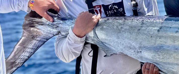 Considering a Guided Fishing Trip in Cabo? Considering a Guided Fishing Trip in Cabo?