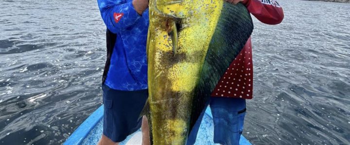 Top Fishing Spots in La Ribera, Baja California Sur Top Fishing Spots in La Ribera, Baja California Sur