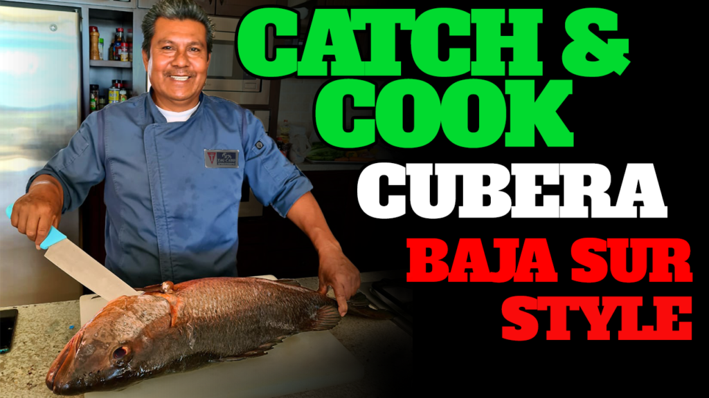 Cubera Snappers: Some of the Best Eating Fish Out There! Cubera Snappers: Some of the Best Eating Fish Out There!