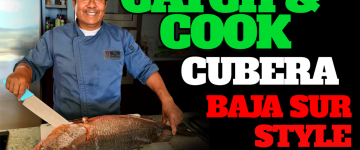 Cubera Snappers: Some of the Best Eating Fish Out There! Cubera Snappers: Some of the Best Eating Fish Out There!