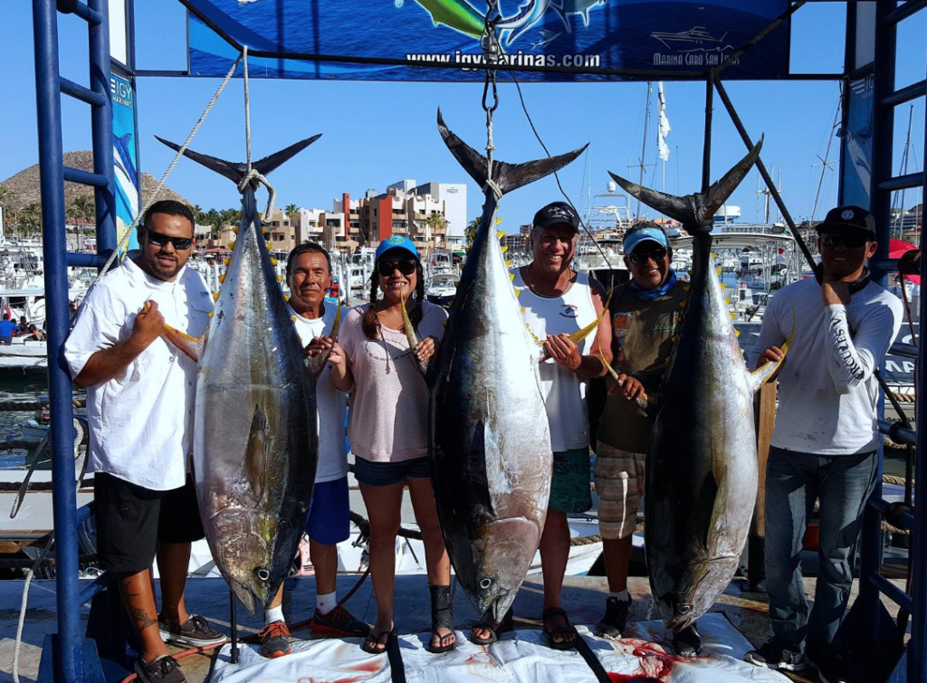 Yellowfin Tuna in Cabo Yellowfin Tuna in Cabo