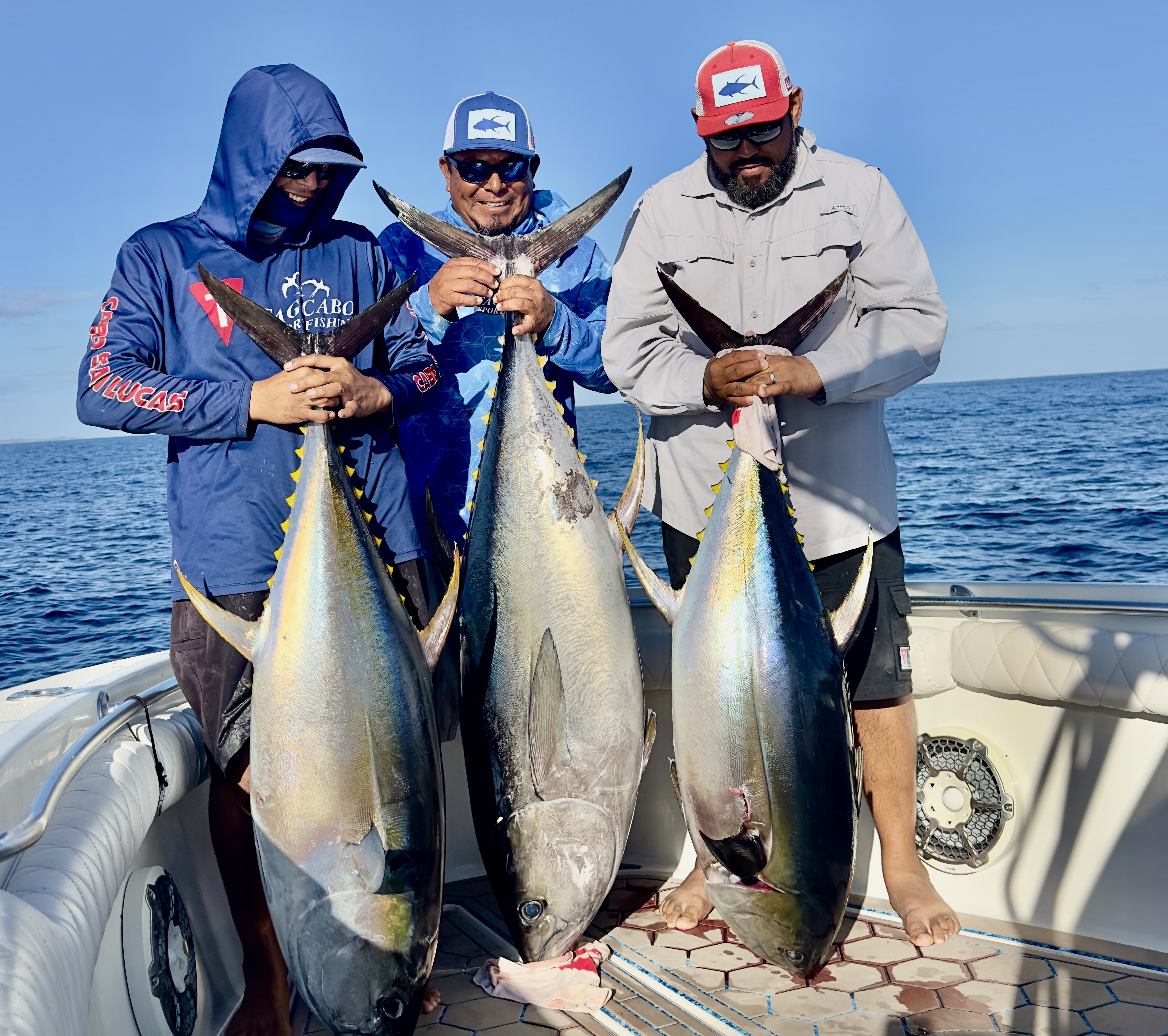 If You Want to Catch Yellowfin Tuna in Cabo, Do This 3 Guide to Sportfishing in Cabo San Lucas