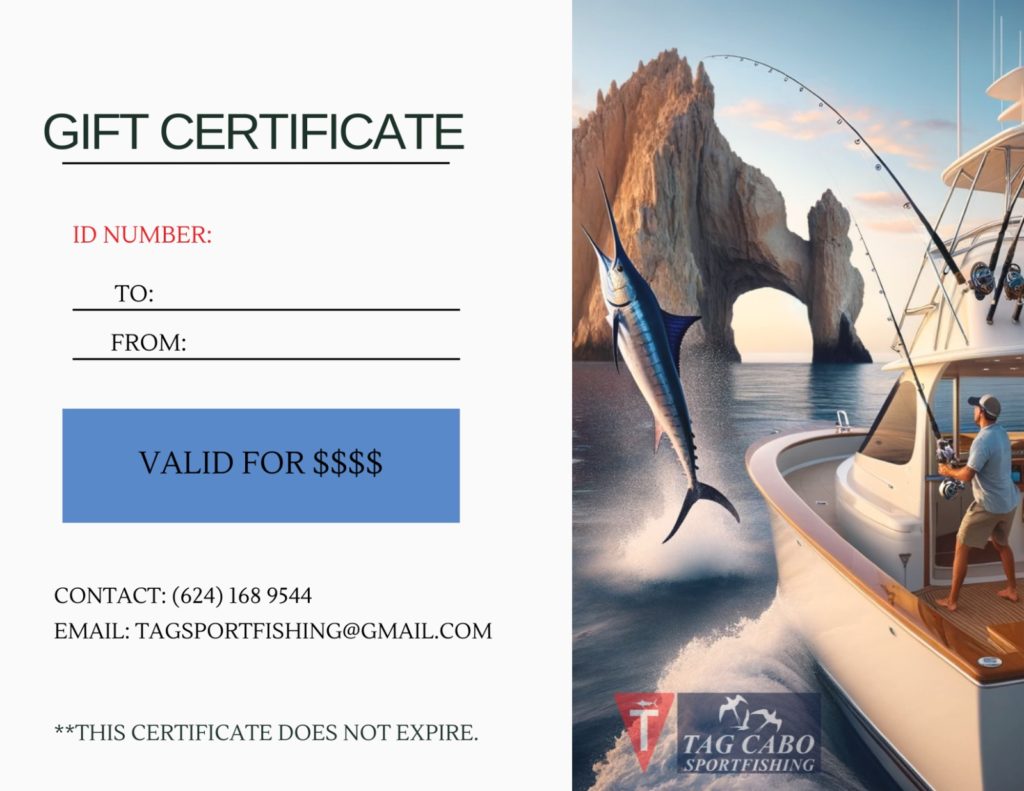 Introducing Tag Cabo Sportfishing Gift Cards Introducing Tag Cabo Sportfishing Gift Cards