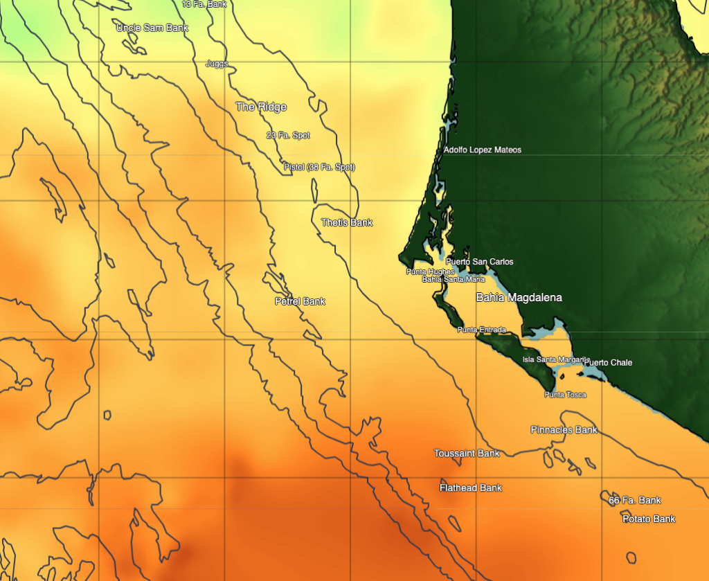 Best Fishing Spots From MagBay to Los Cabos Best Fishing Spots From MagBay to Los Cabos