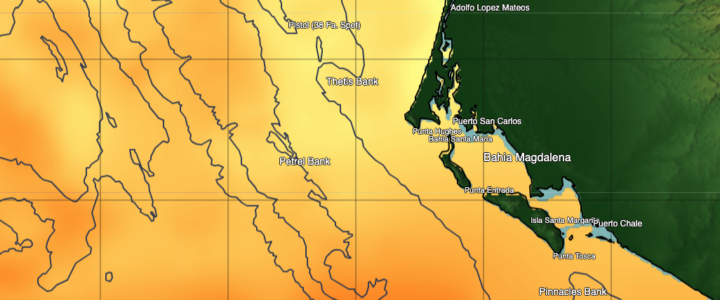 The Thrill of Fishing in Magdalena Bay The Thrill of Fishing in Magdalena Bay