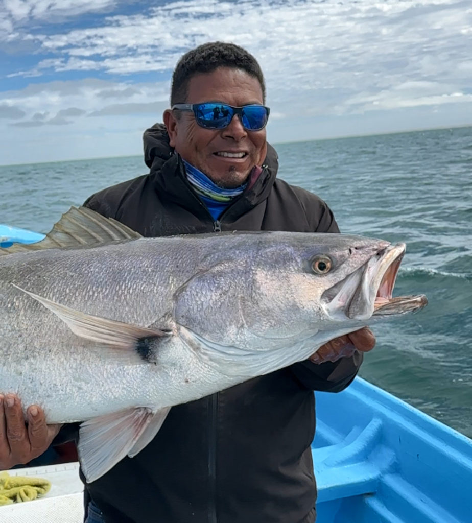 The White Sea Bass Haven of Baja California Sur The White Sea Bass Haven of Baja California Sur