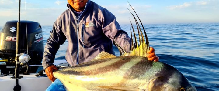 The Best Roosterfish Fishing Spots in the World The Best Roosterfish Fishing Spots in the World