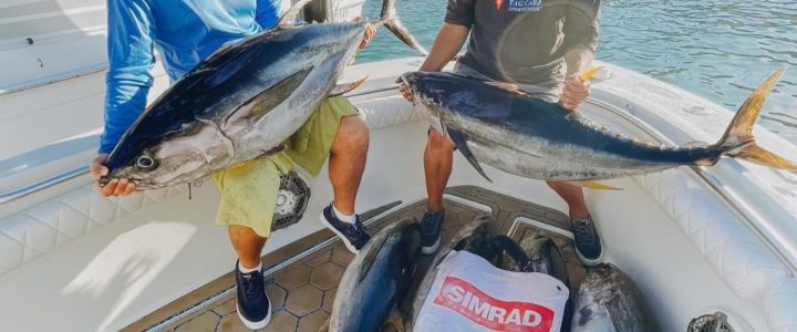 Choosing the Right Leader for Saltwater Fishing Choosing the Right Leader for Saltwater Fishing