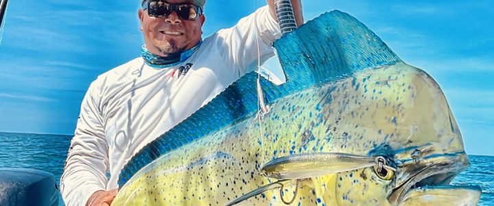 Mastering Inshore Fishing with Stick Bait Lures in Los Cabos Mastering Inshore Fishing with Stick Bait Lures in Los Cabos