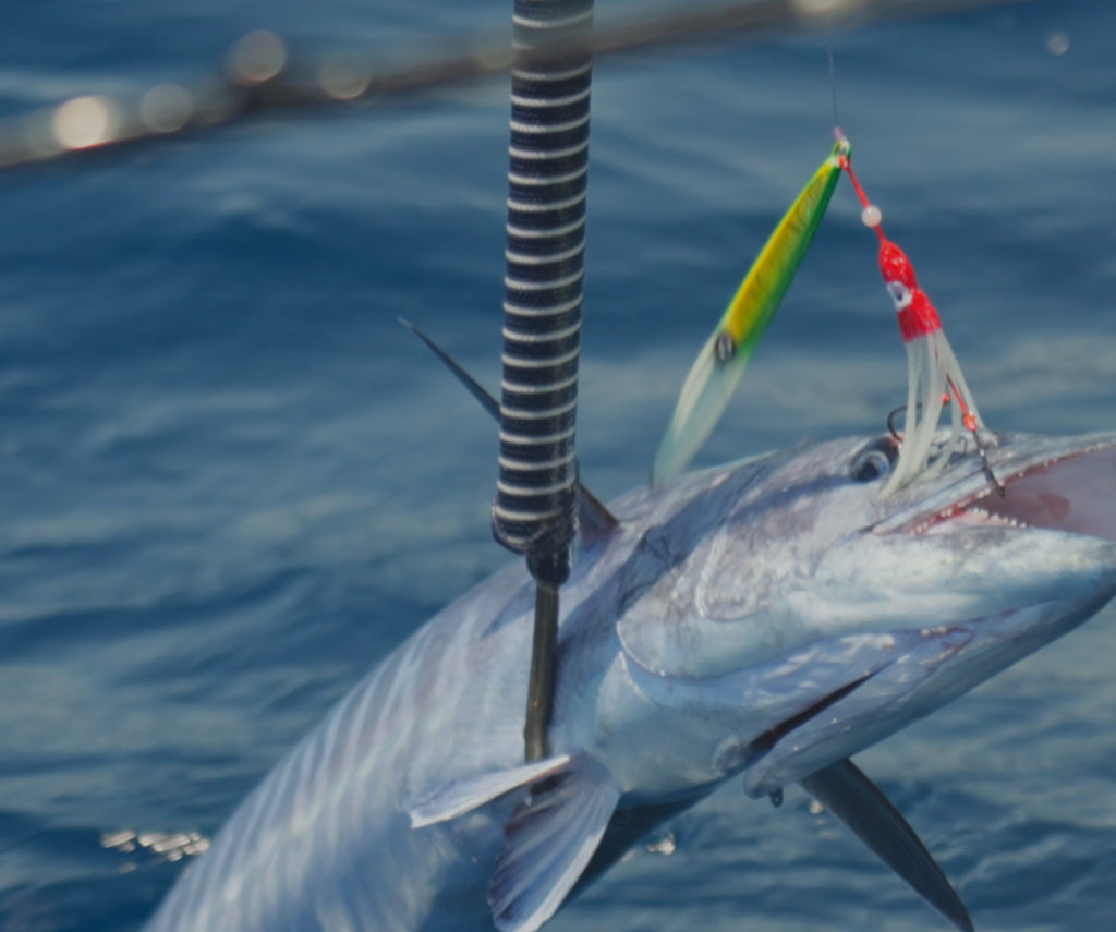 Exploring the Thrills of Jigging in Cabo 3 Exploring the Thrills of Jigging in Cabo
