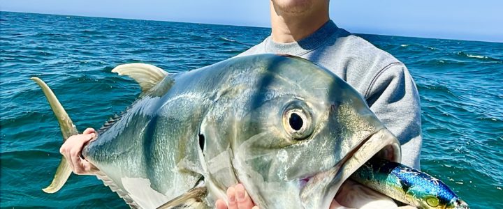 Top Tips for Successful Inshore Fishing in Los Cabos Top Tips for Successful Inshore Fishing in Los Cabos