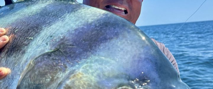 Best Water Temperature for Roosterfish Best Water Temperature for Roosterfish
