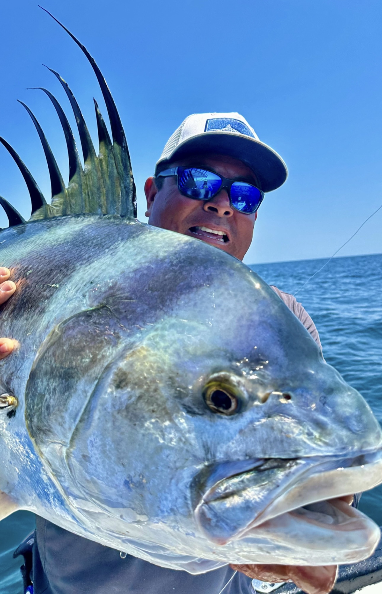 Best Water Temperature for Roosterfish 9 Best Water Temperature for Roosterfish