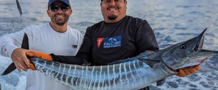Best Water Temperatures to Catch Wahoos Around the World Best Water Temperatures to Catch Wahoos Around the World