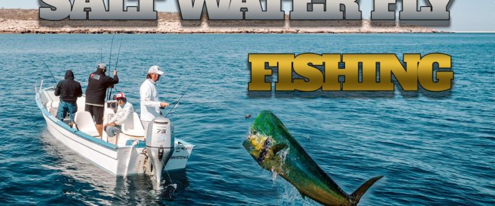 Fly Fishing Cabo Fly Fishing Cabo