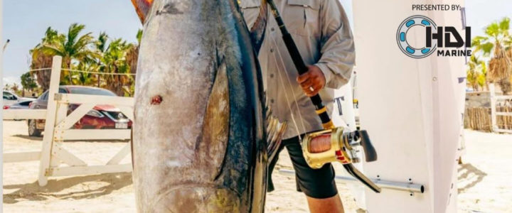 A Cabo Guide to Big Yellowfin Tuna A Cabo Guide to Big Yellowfin Tuna