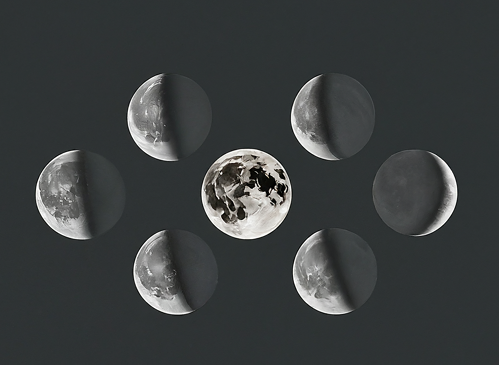 The Moon's Phases and Sportfishing: A Cabo Perspective 2 Moon Phases in Sportfishing
