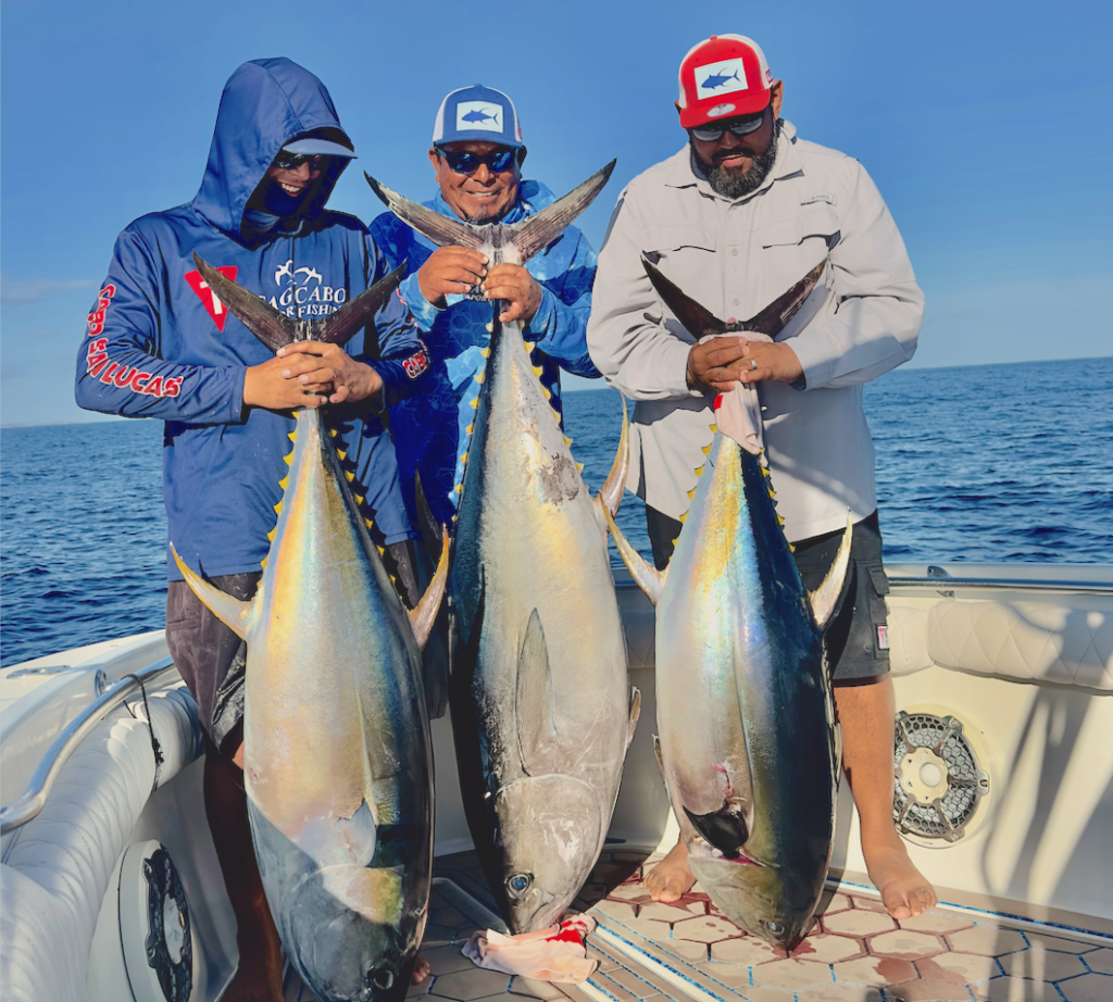 International Fishing Trips 1 International fishing trips