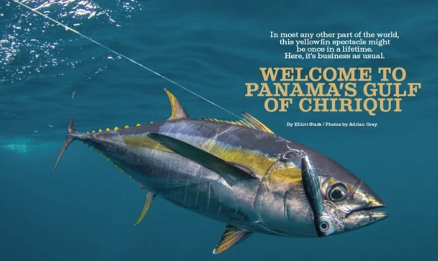 International Fishing Trips 7 Panama Fishing Lodge