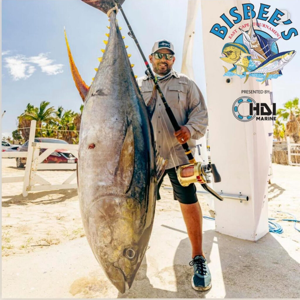 Your Dream Angling Adventure in Cabo San Lucas 1 Your Dream Angling Adventure in Cabo San Lucas